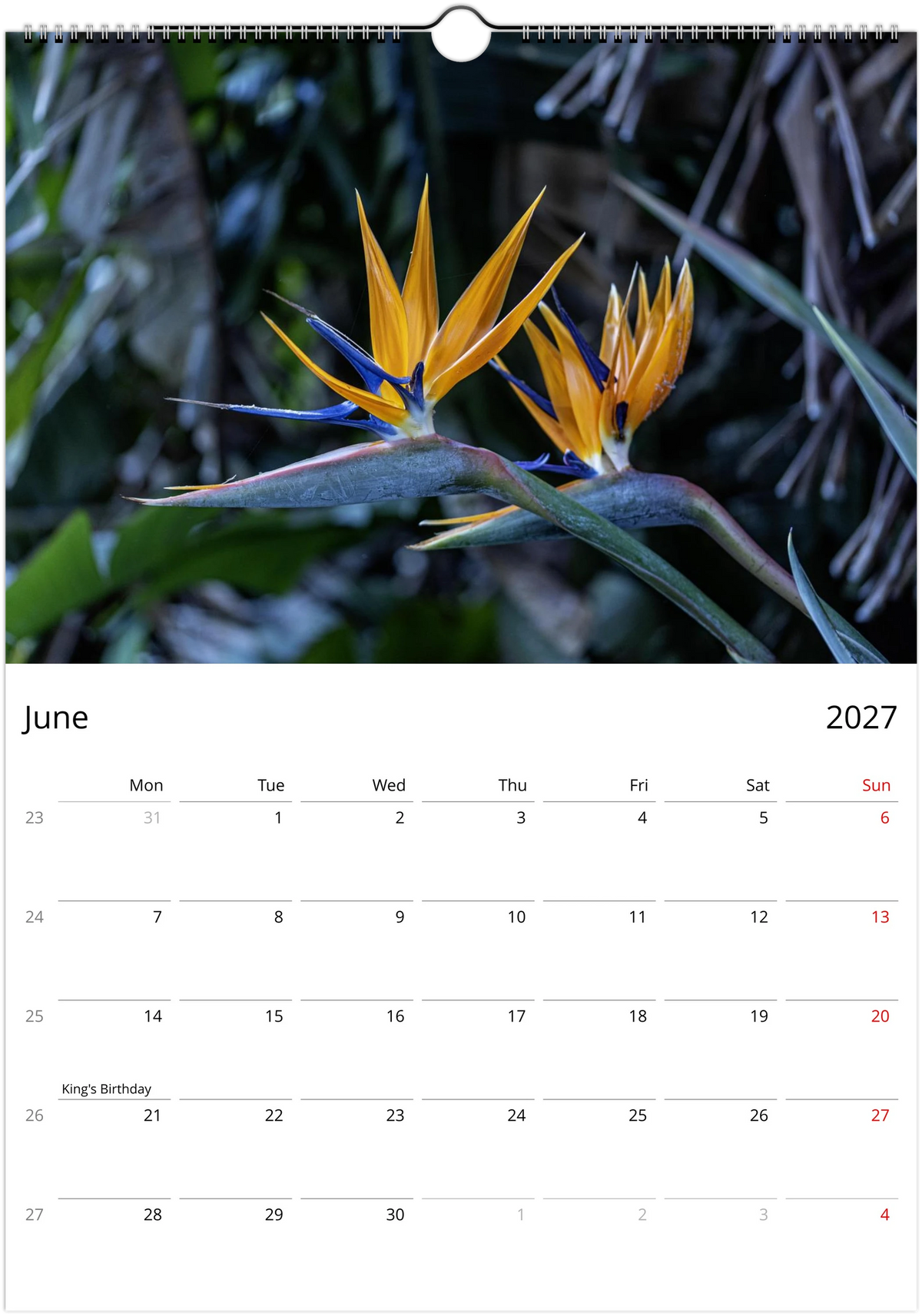 June 2027 page of the Bird of Paradise flower wall calendar – two strelitzia flowers side by side, Monday-start monthly grid