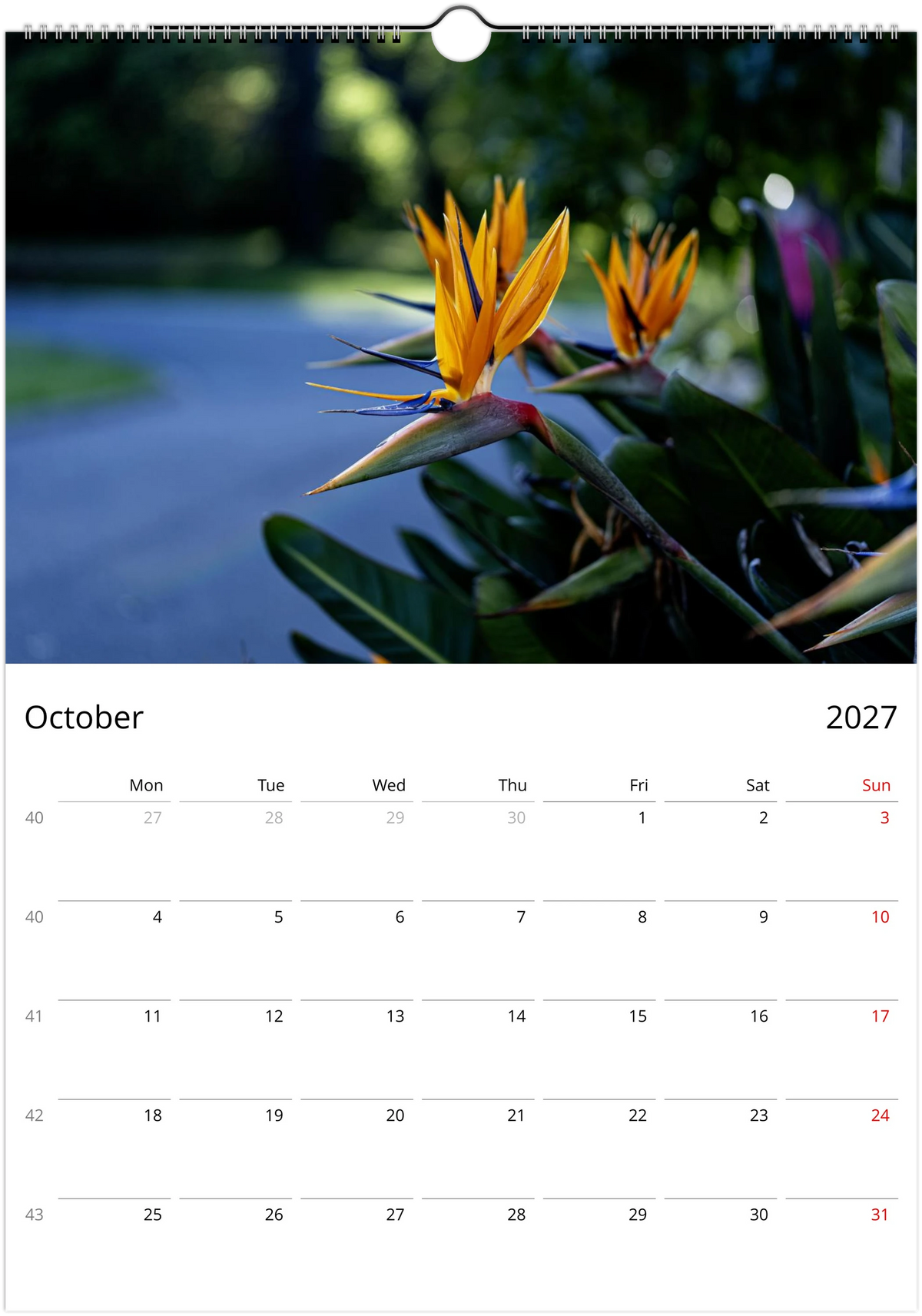 October 2027 page of the Bird of Paradise flower wall calendar – strelitzias beside a garden path, Monday-start monthly grid