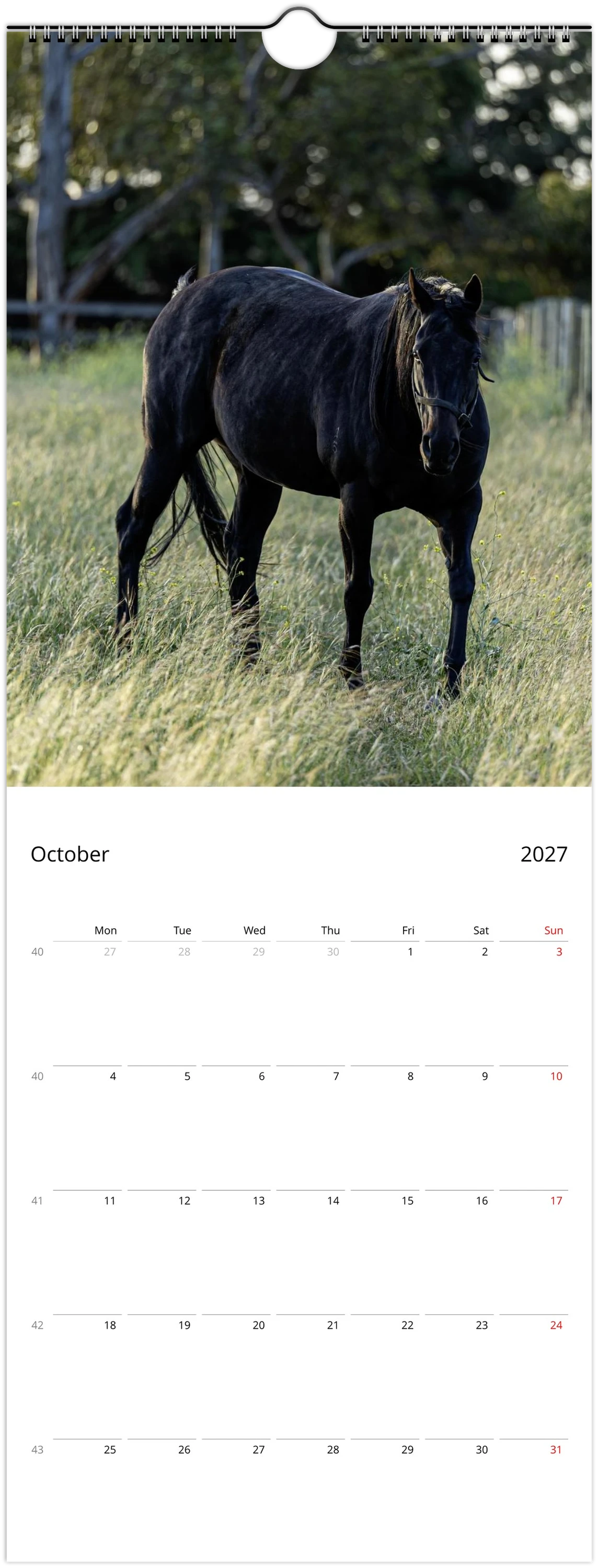 A single-page calendar spread showing a black horse standing in a grassy field on the top half, with an October 2027 calendar grid on a white background below.