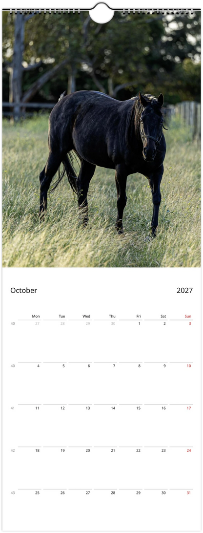A single-page calendar spread showing a black horse standing in a grassy field on the top half, with an October 2027 calendar grid on a white background below.