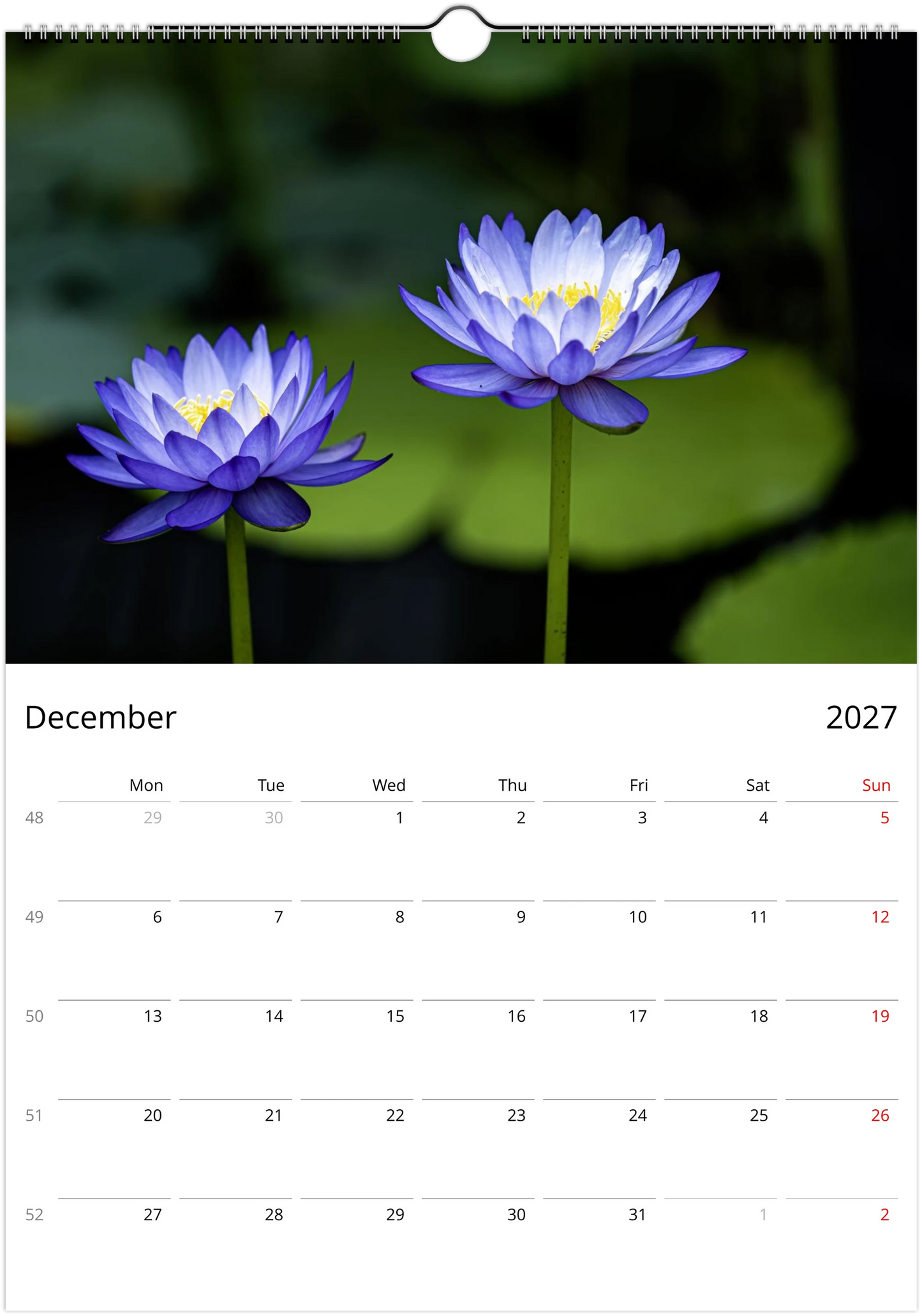 Botanical wall calendar showcasing water lilies and peaceful garden pond scenes