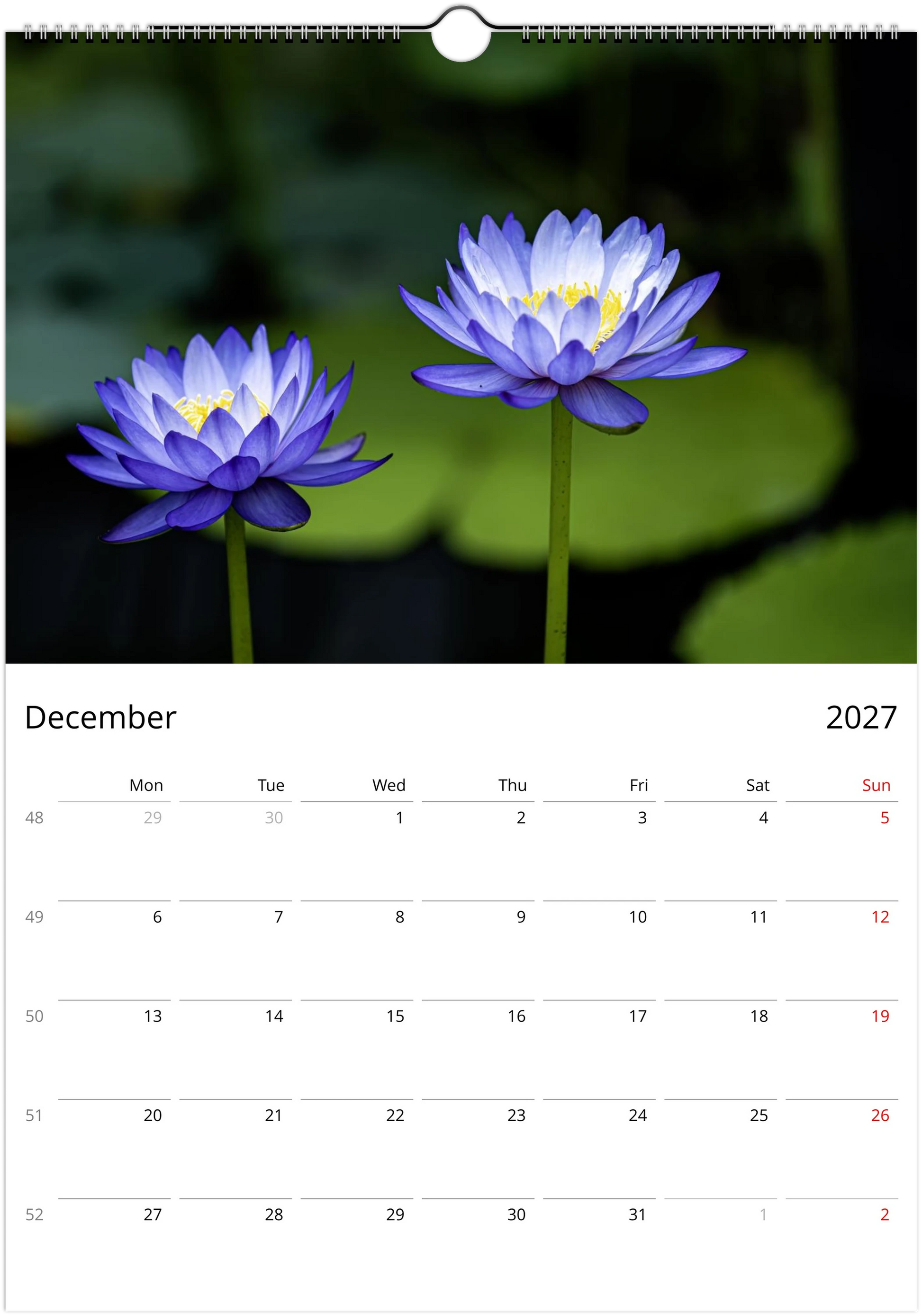 Botanical wall calendar showcasing water lilies and peaceful garden pond scenes