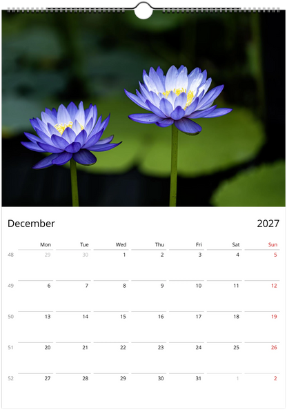 Botanical wall calendar showcasing water lilies and peaceful garden pond scenes