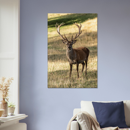 	
Deer Wildlife Animals Art Nursery Photography Wall Decor Kids Room Poster Playroom Artwork Stag Stretched Canvas 049