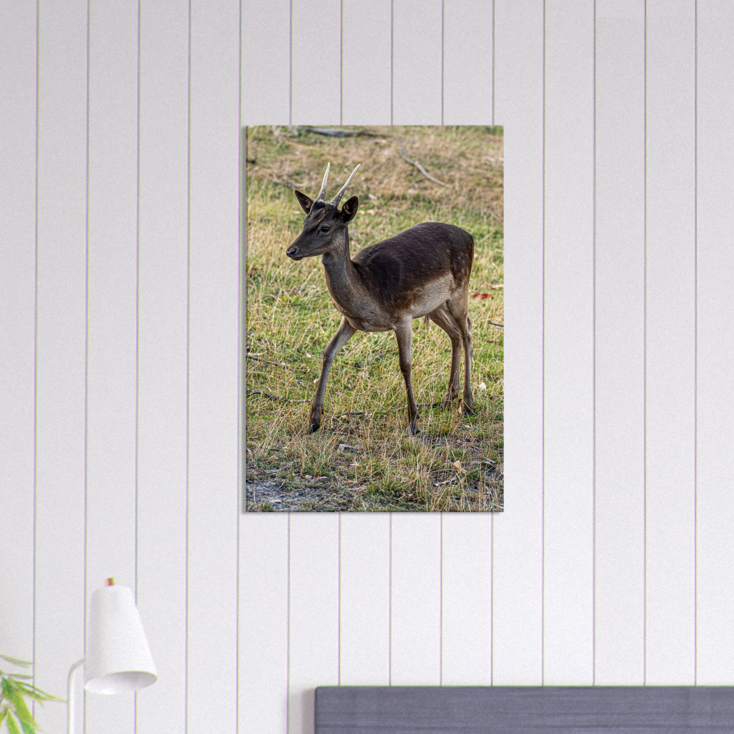 	
Deer Wildlife Animals Art Nursery Photography Wall Decor Kids Room Poster Playroom Artwork Stag Stretched Canvas 036