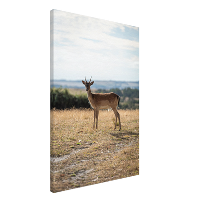 Deer wildlife canvas – colour and texture detail