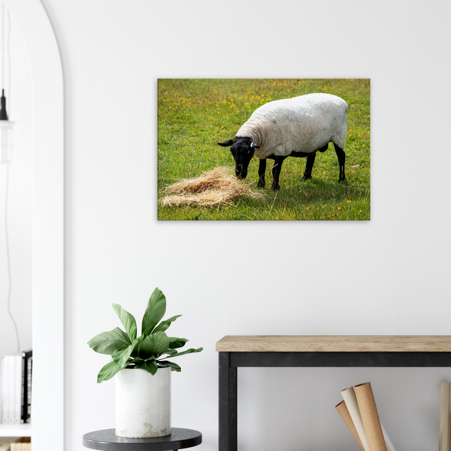 Sheep Domestic Animal Canvas Wall Art Photography, Nursery Print, Nursery Animal Wall Decor, Kids Room, Prints, Stretched canvas by Istvan Maar Photography 06