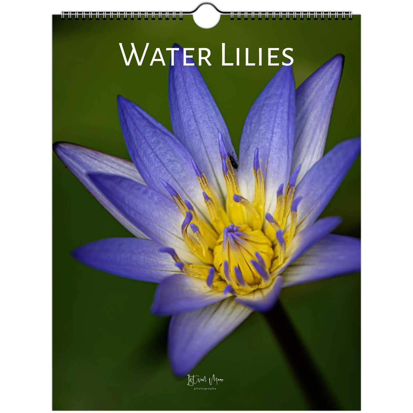 Water lilies wall calendar with  photography by Istvan Maar in A4, A3, Letter US and Ledger US sizes.