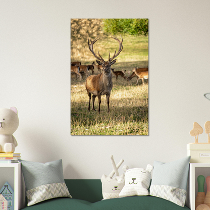 	
Deer Wildlife Animals Art Nursery Photography Wall Decor Kids Room Poster Playroom Artwork Stag Stretched Canvas 124