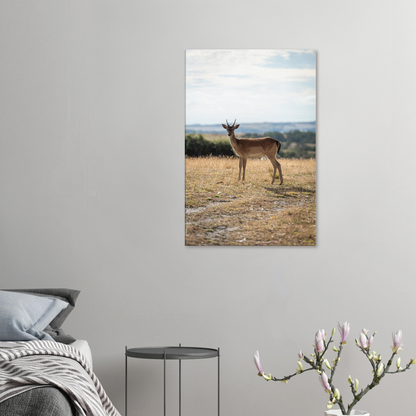 Deer wildlife canvas – nursery print packaging
