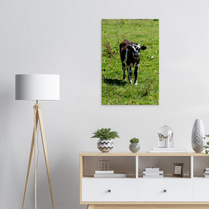 Cute calf Domestic Animal Canvas Wall Art Photography, Nursery Print, Nursery Animal Wall Decor, Kids Room, Prints, Stretched canvas by Istvan Maar Photography mockup 41