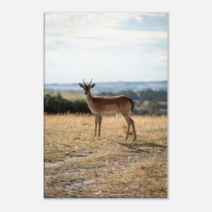 Deer wildlife canvas – nursery room lifestyle display