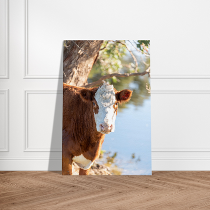 Cow Domestic Animal Canvas Wall Art Photography, Nursery Print, Nursery Animal Wall Decor, Kids Room, Prints, Stretched canvas by Istvan Maar Photography mockup 02