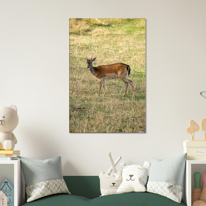 	
Deer Wildlife Animals Art Nursery Photography Wall Decor Kids Room Poster Playroom Artwork Stag Stretched Canvas 166