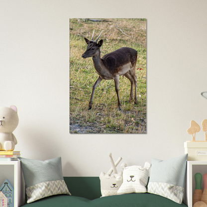 	
Deer Wildlife Animals Art Nursery Photography Wall Decor Kids Room Poster Playroom Artwork Stag Stretched Canvas 033