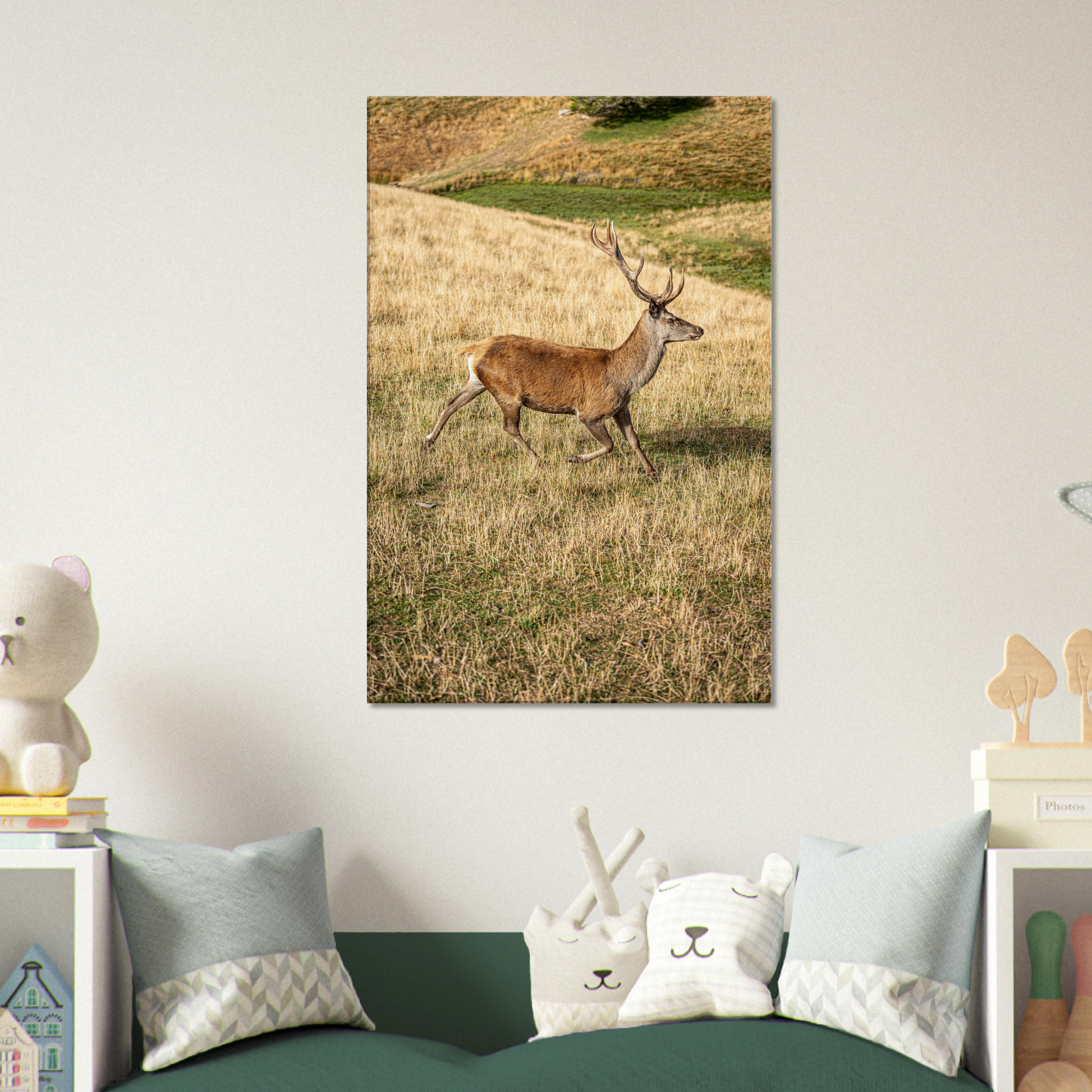 	
Deer Wildlife Animals Art Nursery Photography Wall Decor Kids Room Poster Playroom Artwork Stag Stretched Canvas 207