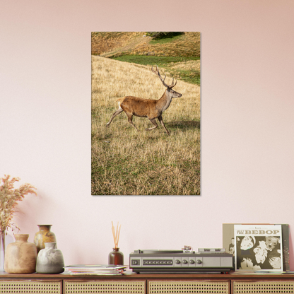 	
Deer Wildlife Animals Art Nursery Photography Wall Decor Kids Room Poster Playroom Artwork Stag Stretched Canvas 209