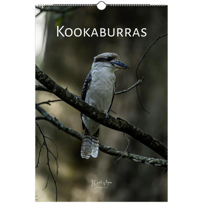 2027 Personalised Kookaburras wall calendar cover variant – laughing kookaburra on dark branch – Australian bird photography wall calendar