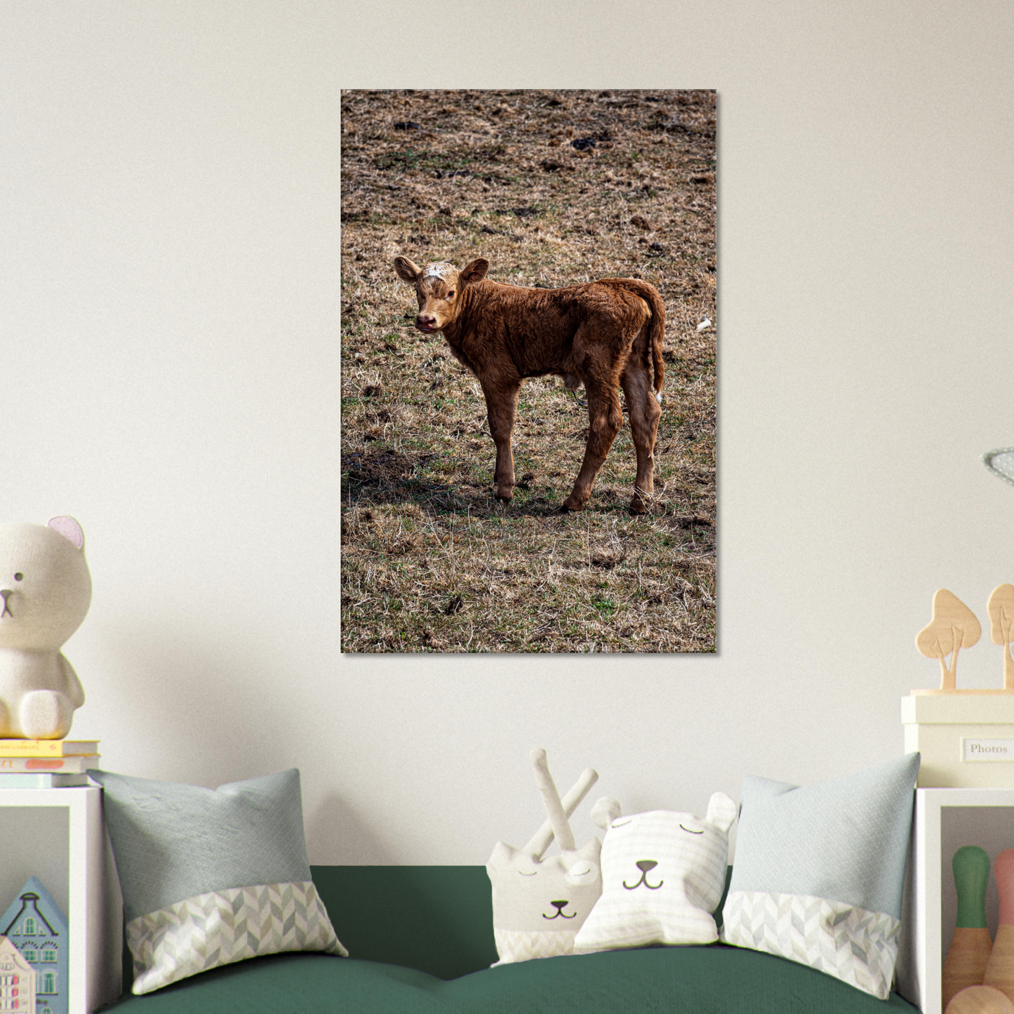 Cute calf Domestic Animal Canvas Wall Art Photography, Nursery Print, Nursery Animal Wall Decor, Kids Room, Prints, Stretched canvas by Istvan Maar Photography mockup 15