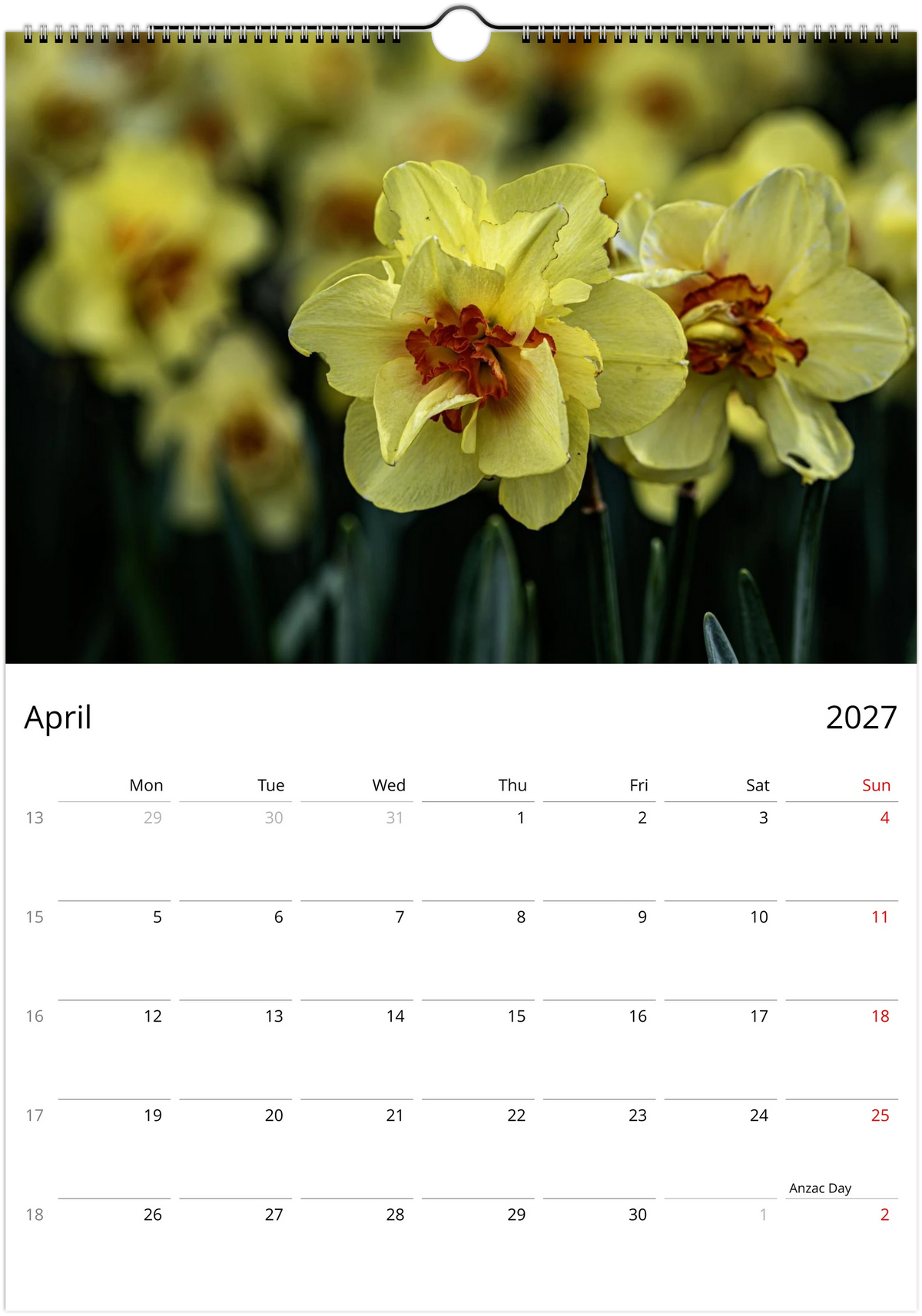 April 2027 page of the Daffodils wall calendar – pale yellow double daffodils with orange centres, Monday-start monthly grid