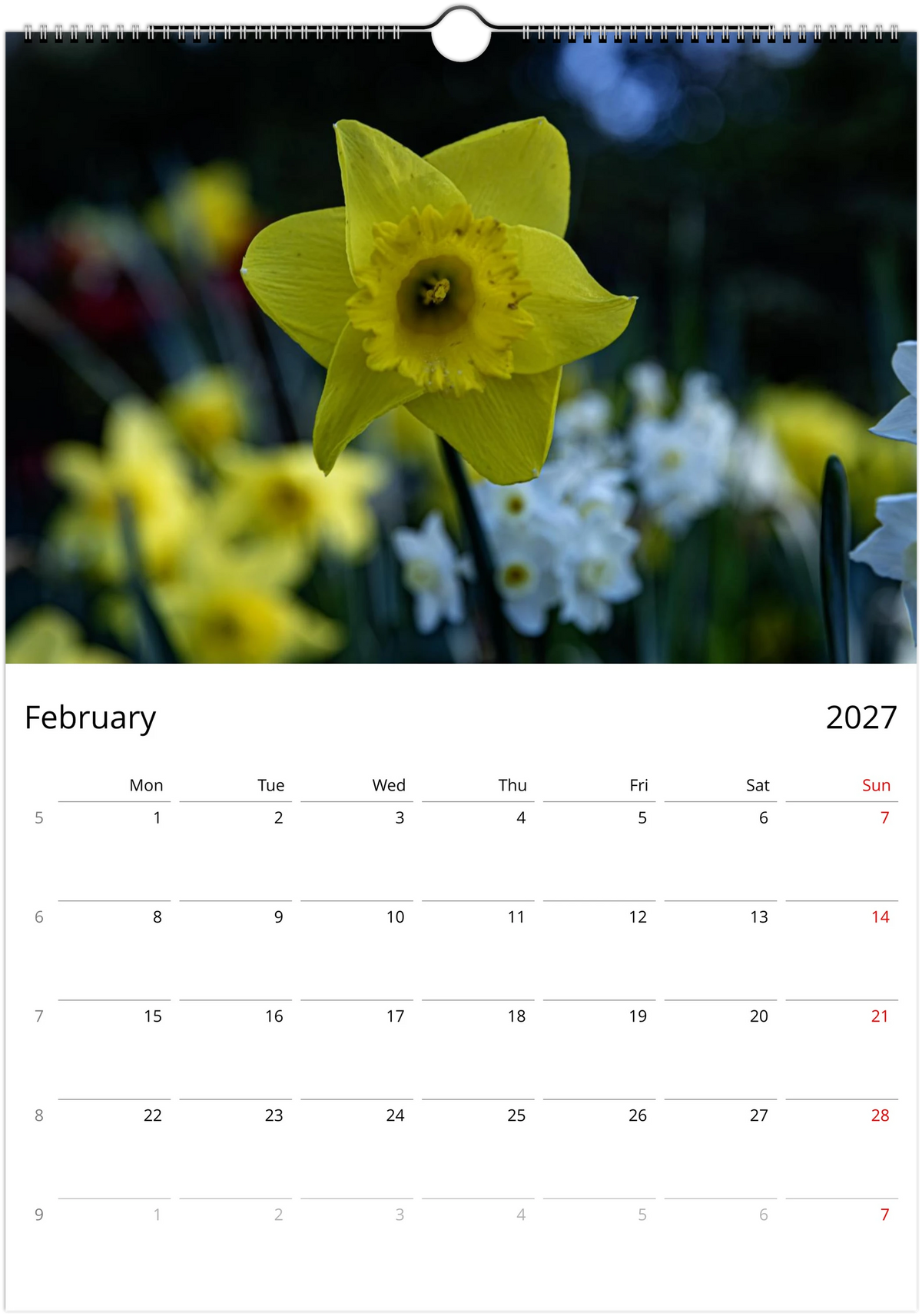 February 2027 page of the Daffodils wall calendar – a single yellow trumpet daffodil against a dark background, Monday-start monthly grid