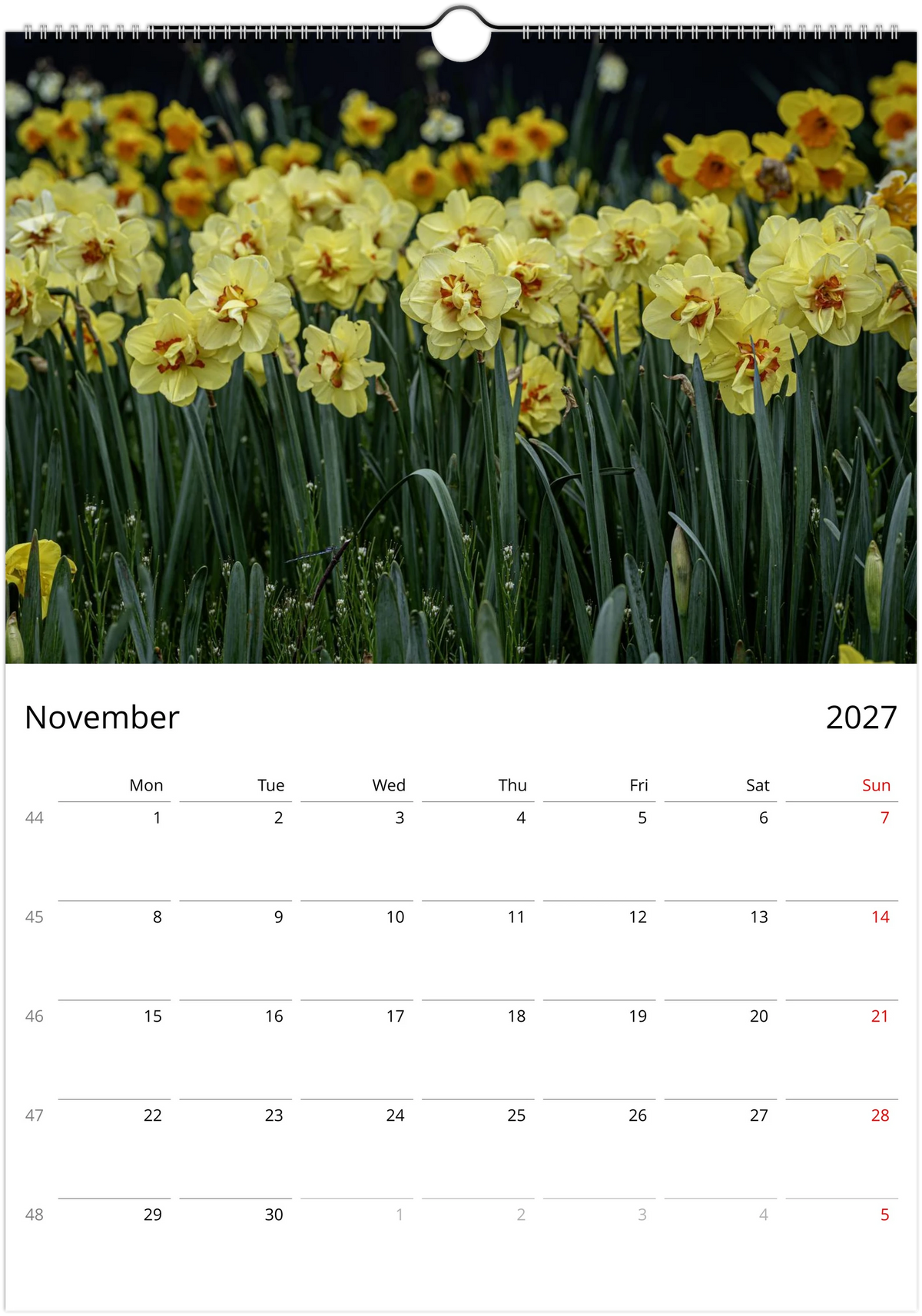 November 2027 page of the Daffodils wall calendar – a row of yellow double daffodils above green leaves, Monday-start monthly grid