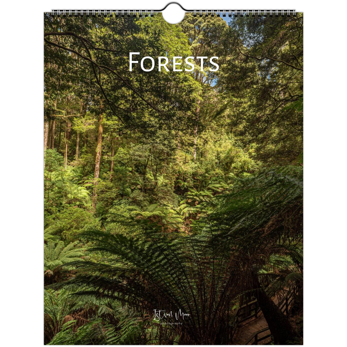 A spiral-bound wall calendar or print featuring a forest scene with ferns and trees, with the word 'FORESTS' printed across the top and a small artist signature near the bottom.