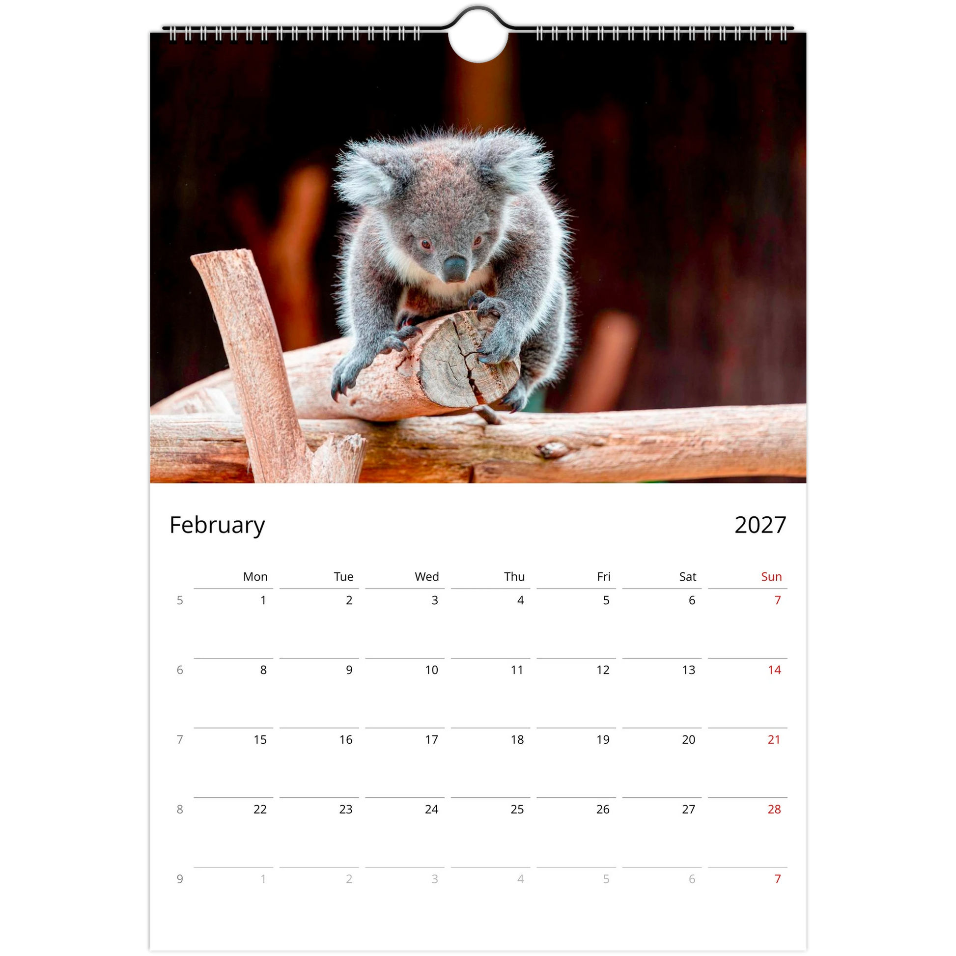Koalas Wall Calendar – monthly spread with koala wildlife photography