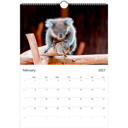 Koalas Wall Calendar – monthly spread with koala wildlife photography
