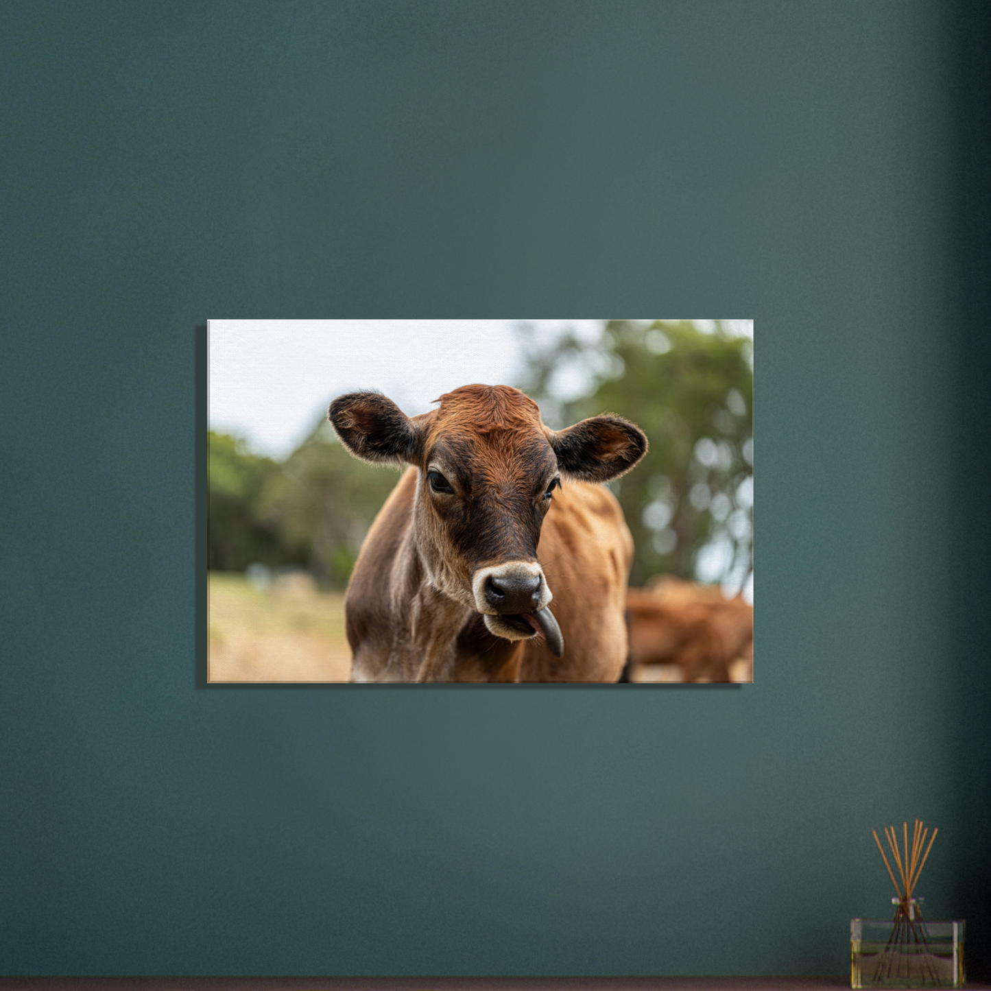 Cute calf Domestic Animal Canvas Wall Art Photography, Nursery Print, Nursery Animal Wall Decor, Kids Room, Prints, Stretched canvas by Istvan Maar Photography mockup 03