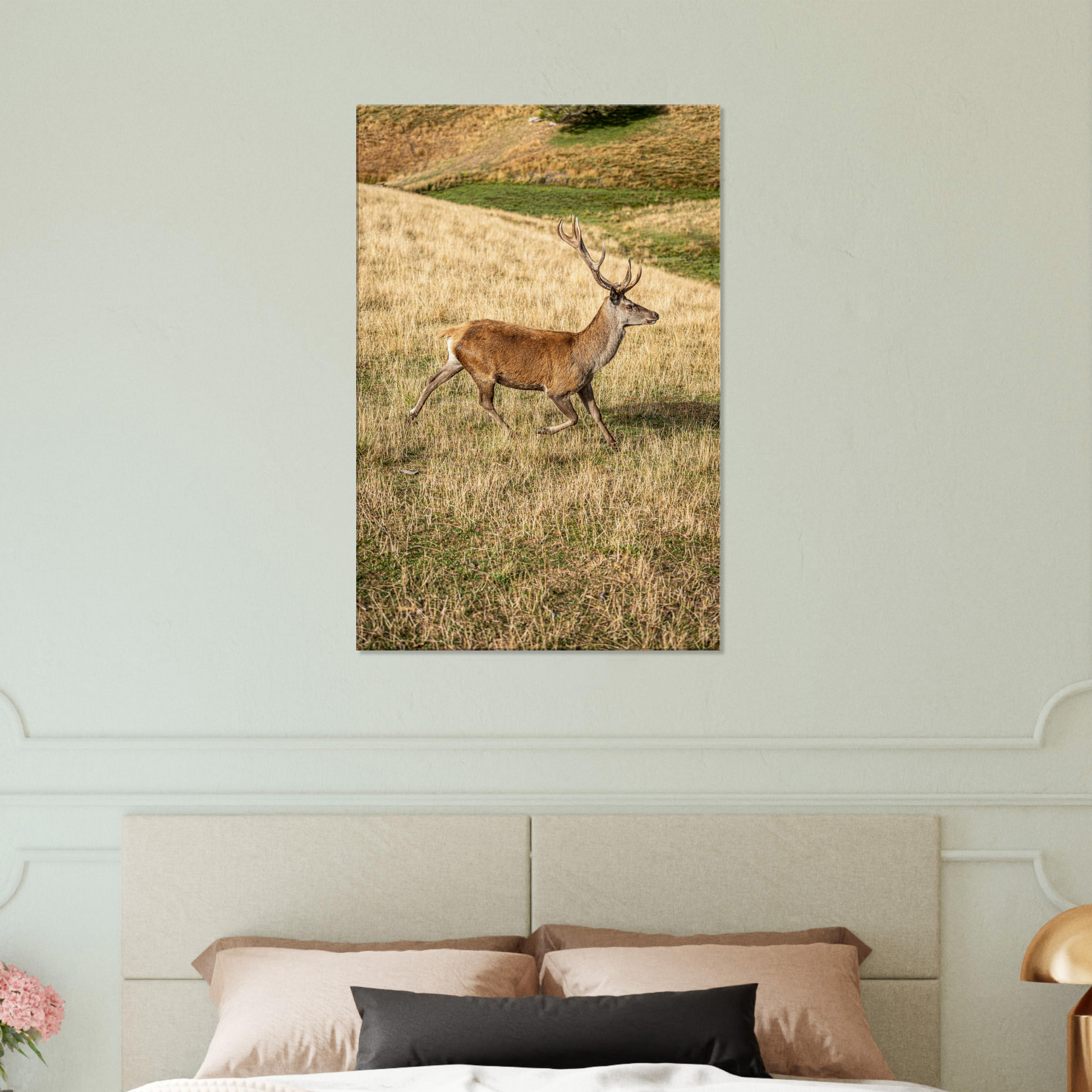 	
Deer Wildlife Animals Art Nursery Photography Wall Decor Kids Room Poster Playroom Artwork Stag Stretched Canvas 206