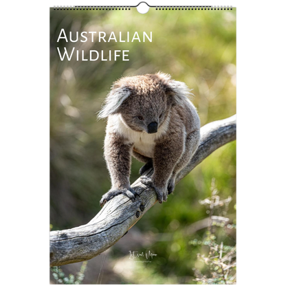 Personalised Australian Wildlife Wall Calendar by Istvan Maar Photography