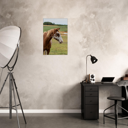 Domestic Animal Canvas Wall Art by Istvan Maar Photography