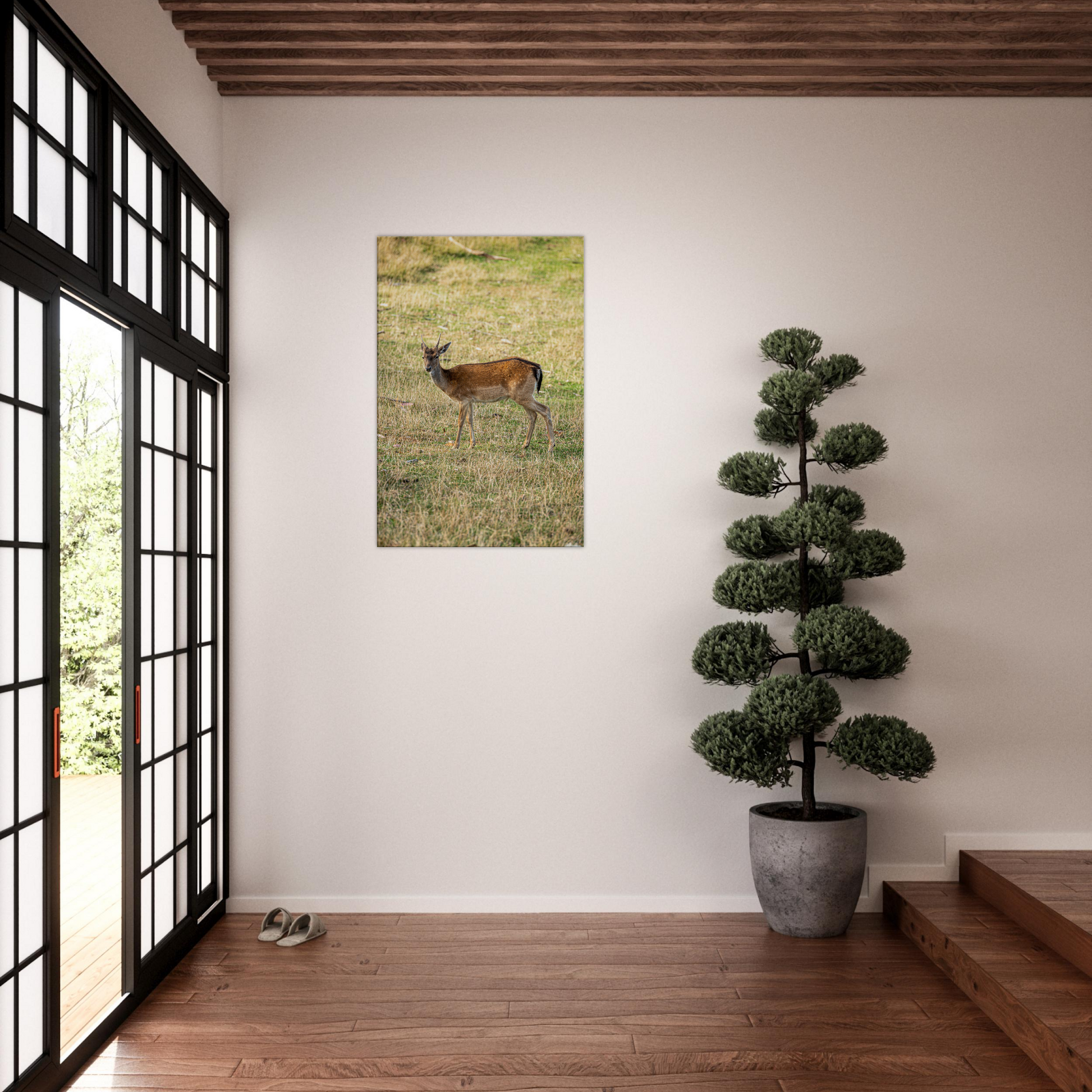 	
Deer Wildlife Animals Art Nursery Photography Wall Decor Kids Room Poster Playroom Artwork Stag Stretched Canvas 172