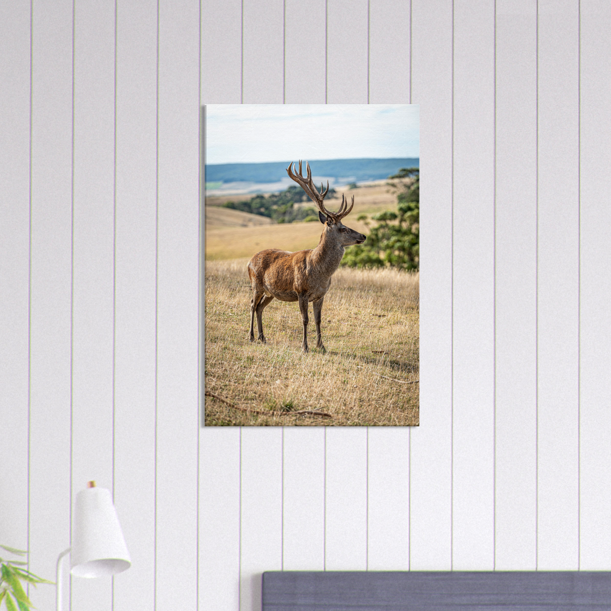 	
Deer Wildlife Animals Art Nursery Photography Wall Decor Kids Room Poster Playroom Artwork Stag Stretched Canvas 178