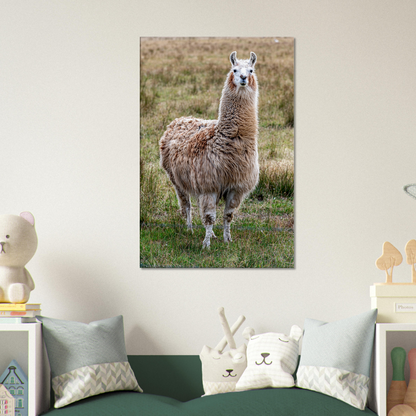 Llama Domestic Farm Animal Canvas Wall Art Photography, Nursery Print, Nursery Animal Wall Decor, Kids Room, Prints, Stretched canvas by Istvan Maar Photography mockup 06