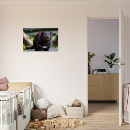 Native Australian Animals Nursery Canvas Tasmanian Devil by Istvan Maar Photography - kid's room décor