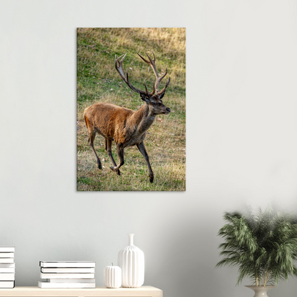 	
Deer Wildlife Animals Art Nursery Photography Wall Decor Kids Room Poster Playroom Artwork Stag Stretched Canvas 017