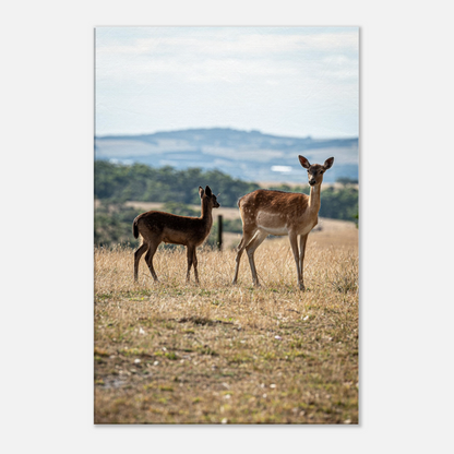 	
Deer Wildlife Animals Art Nursery Photography Wall Decor Kids Room Poster Playroom Artwork Stag Stretched Canvas 084