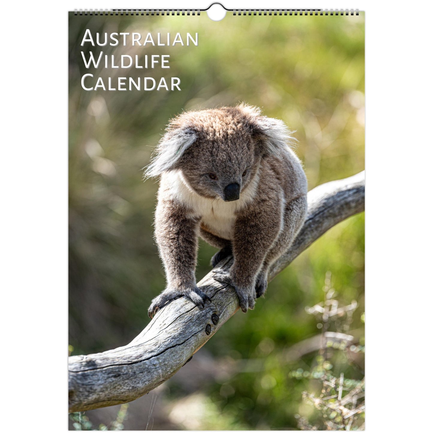 Australian Wildlife Wall calendar by Istvan Maar Photography