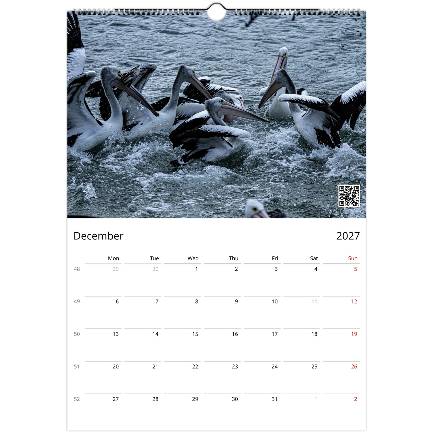 Pelicans in flight over coastal waters — nature photography wall calendar