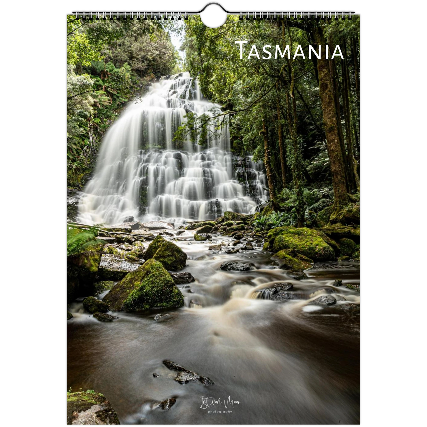 A vertical wall calendar featuring a long-exposure photograph of a waterfall in a lush green forest, with the word TASMANIA printed at the top and a hanging hole near the top center.