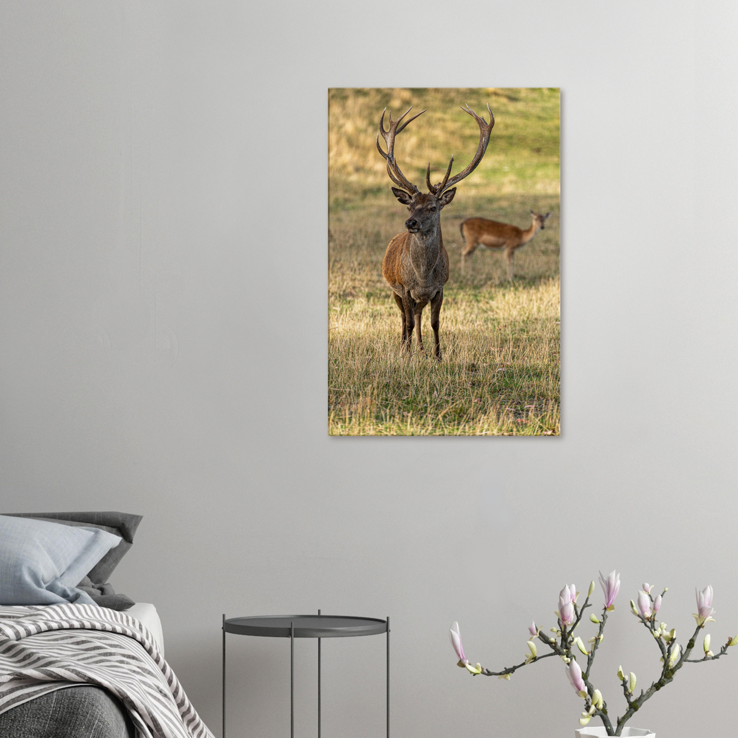 	
Deer Wildlife Animals Art Nursery Photography Wall Decor Kids Room Poster Playroom Artwork Stag Stretched Canvas 065