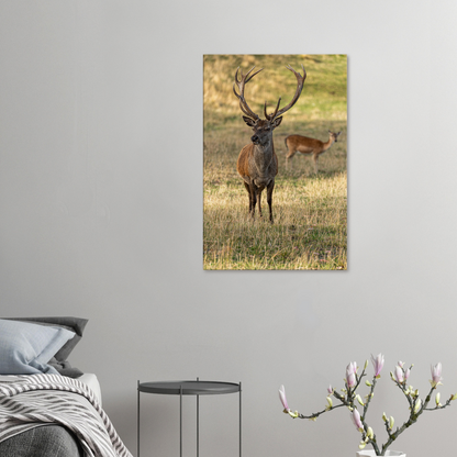 	
Deer Wildlife Animals Art Nursery Photography Wall Decor Kids Room Poster Playroom Artwork Stag Stretched Canvas 065