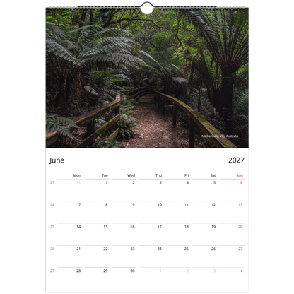 2027 Forests Wall Calendar - photography detail of Australian forests