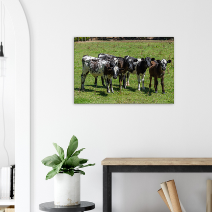 Calves Domestic Animal Canvas Wall Art Photography, Nursery Print, Nursery Animal Wall Decor, Kids Room, Prints, Stretched canvas by Istvan Maar Photography mockup 10