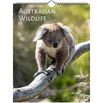 A spiral-bound wall calendar titled 'AUSTRALIAN WILDLIFE' featuring a koala sitting on a tree branch, with a blurred natural background.