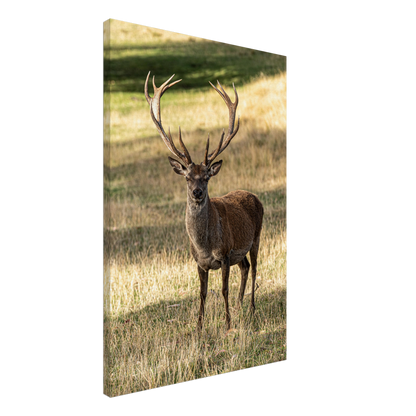 	
Deer Wildlife Animals Art Nursery Photography Wall Decor Kids Room Poster Playroom Artwork Stag Stretched Canvas 048