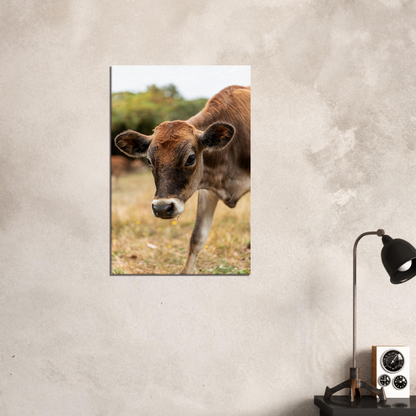 Cute calf Domestic Animal Canvas Wall Art Photography, Nursery Print, Nursery Animal Wall Decor, Kids Room, Prints, Stretched canvas by Istvan Maar Photography mockup 29