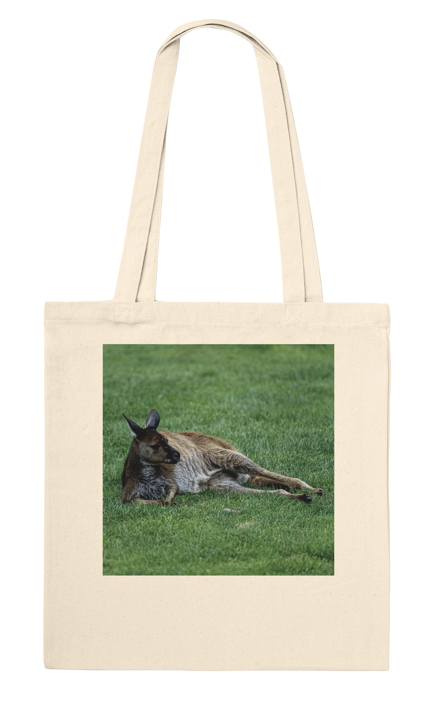 Front of natural canvas kangaroo tote bag – lazy lounging kangaroo wildlife art print by Istvan Maar Photography